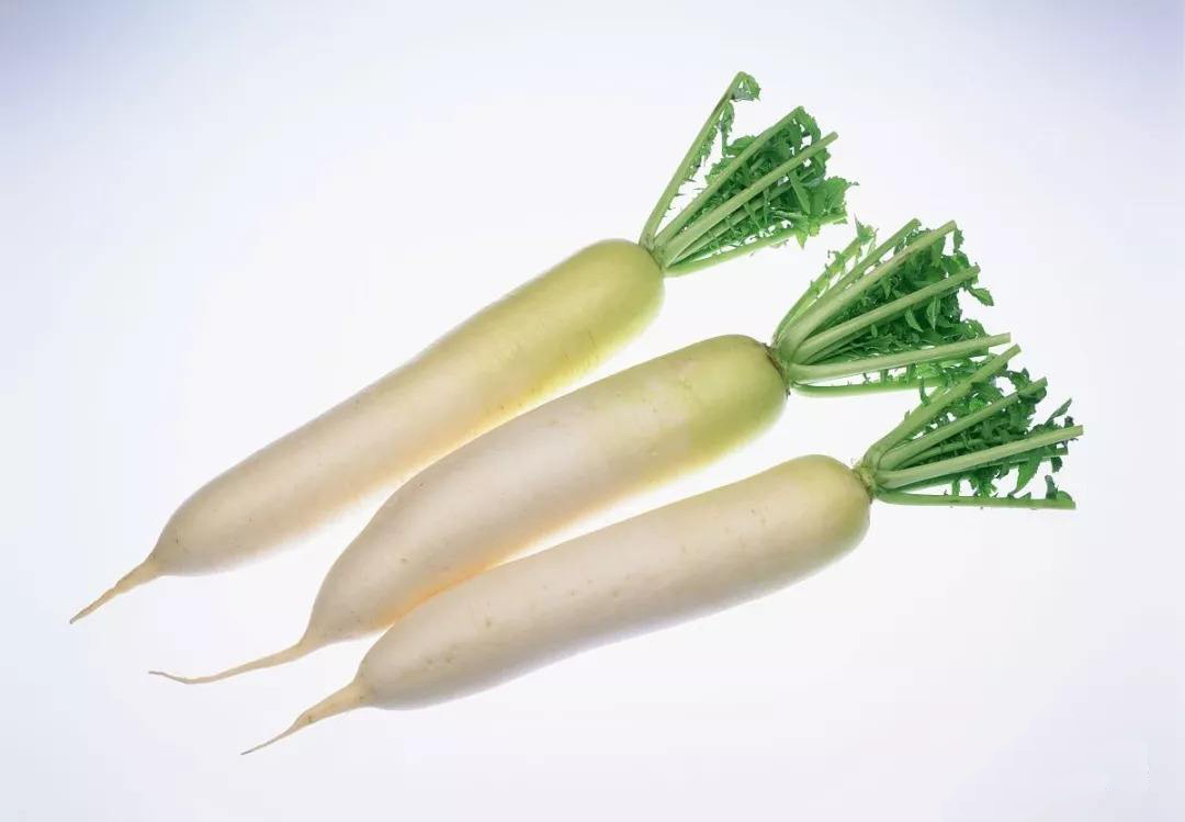 11.13白萝卜价格行情