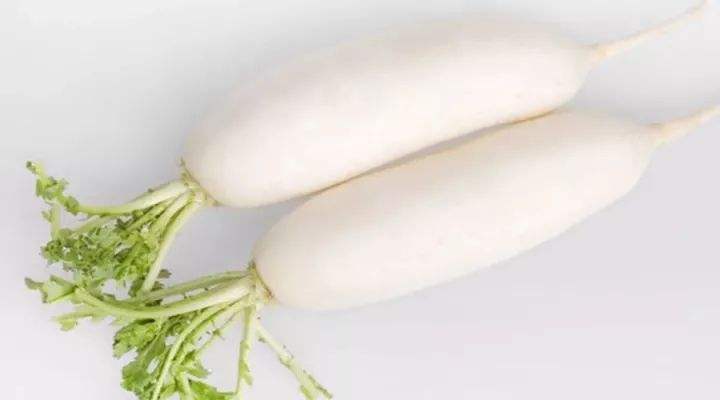 秋萝卜怎么种植 秋萝卜种植技术及栽培要点