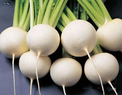 11.8白萝卜价格行情