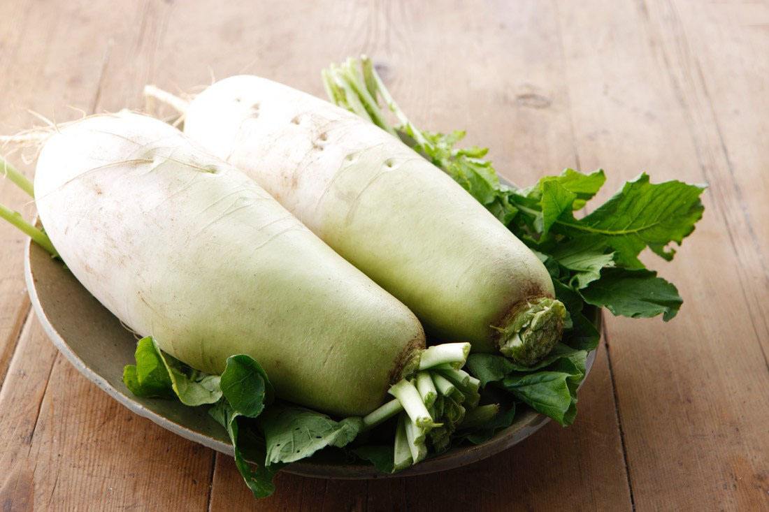 12.24白萝卜价格行情