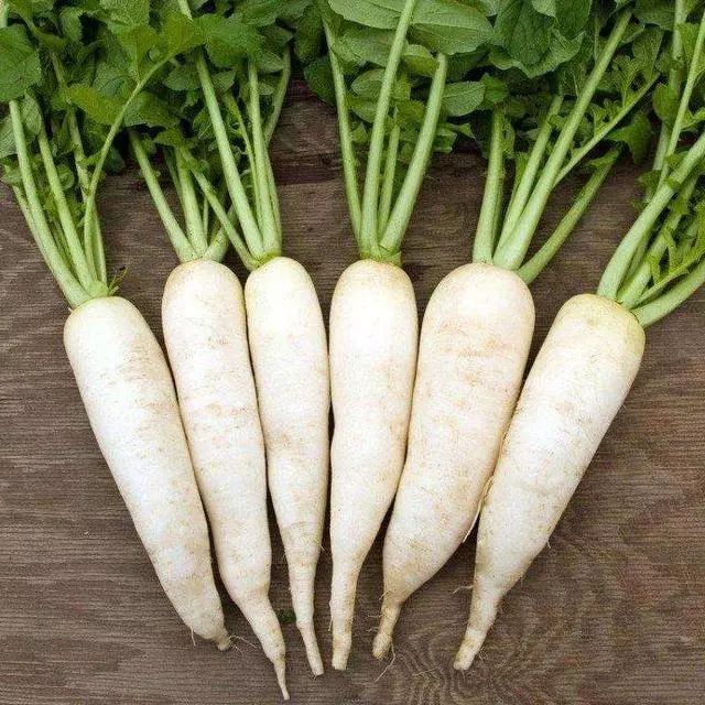 12.26白萝卜价格行情