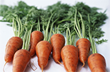 胡萝卜种植有哪些增产的妙招想要取得优质高产，收获会更优质