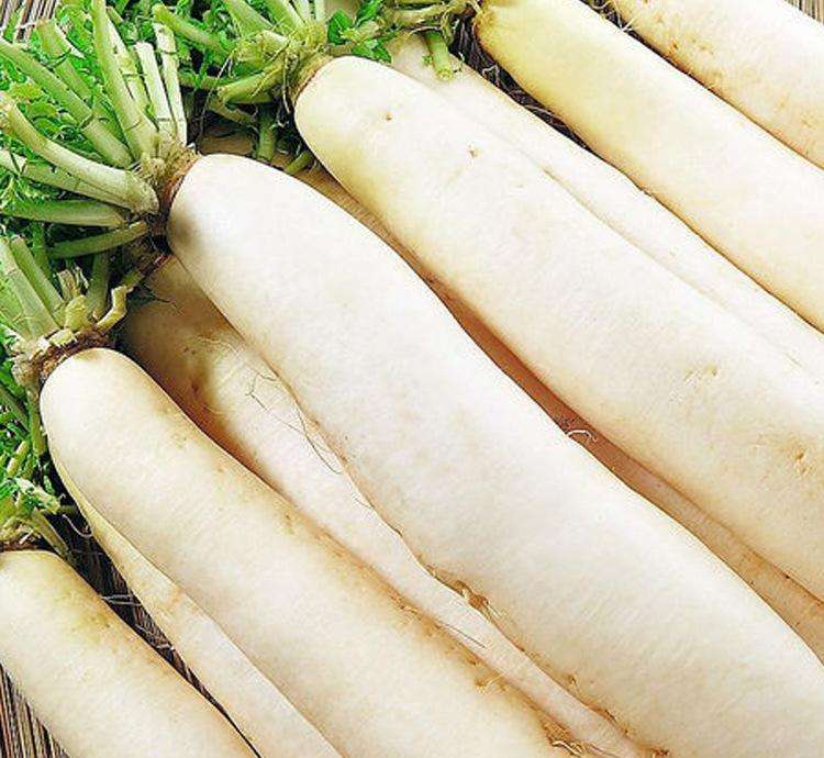 萝卜种植技术：春夏萝卜地膜覆盖栽培和反季节栽培技术