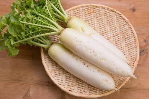 秋萝卜怎么种植 秋萝卜种植技术及栽培要点