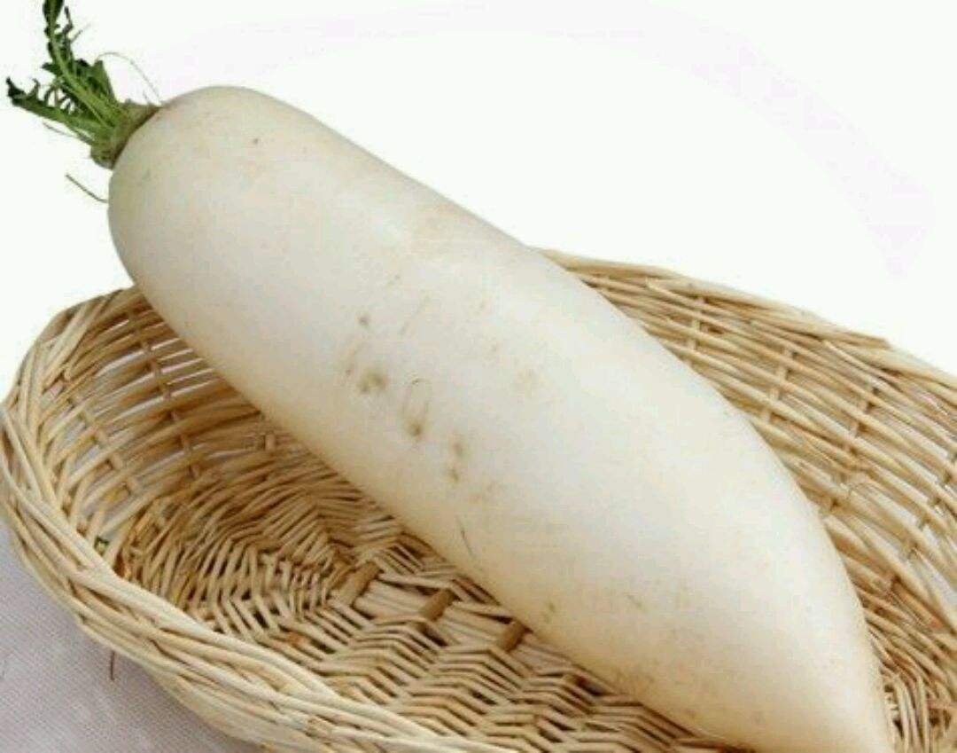 秋萝卜的施肥技术