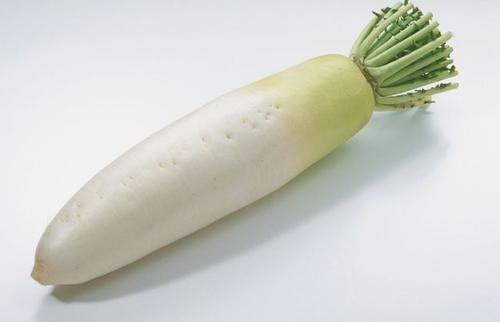 萝卜播种正当时，再不种就晚了，你知道每穴播几粒种子最合适吗？