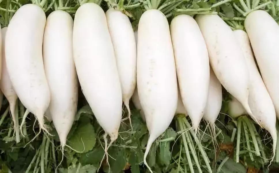 蔬菜防癌抗癌显奇效，是哪些要知道