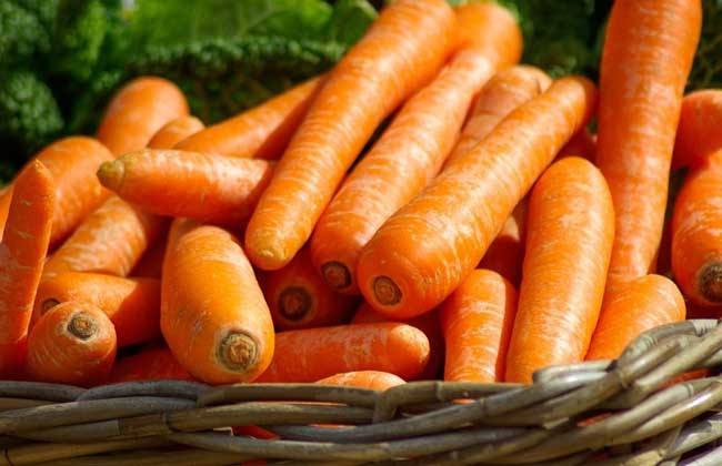 胡萝卜种植时间和方法