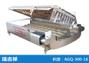 6GQ-300-16型清洗机