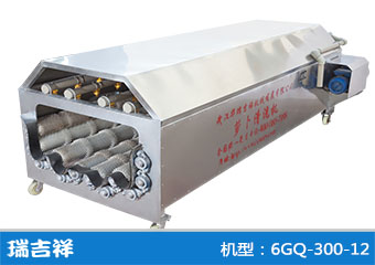 6GQ-300-12型清洗机