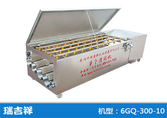 6GQ-300-10型清洗机